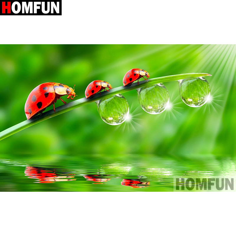 HOMFUN Art 5D Diy Diamond Pain - Embroidery Lady Bug review and price